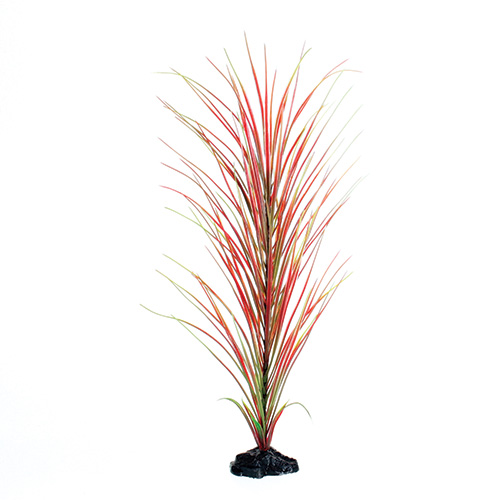 Underwater Treasures Red/Green Hairgrass 20