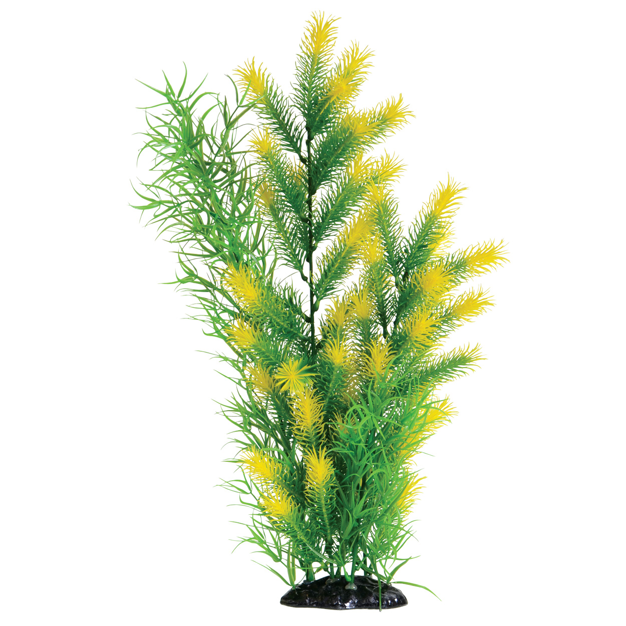 Underwater Treasures Morning Sun Fern 20