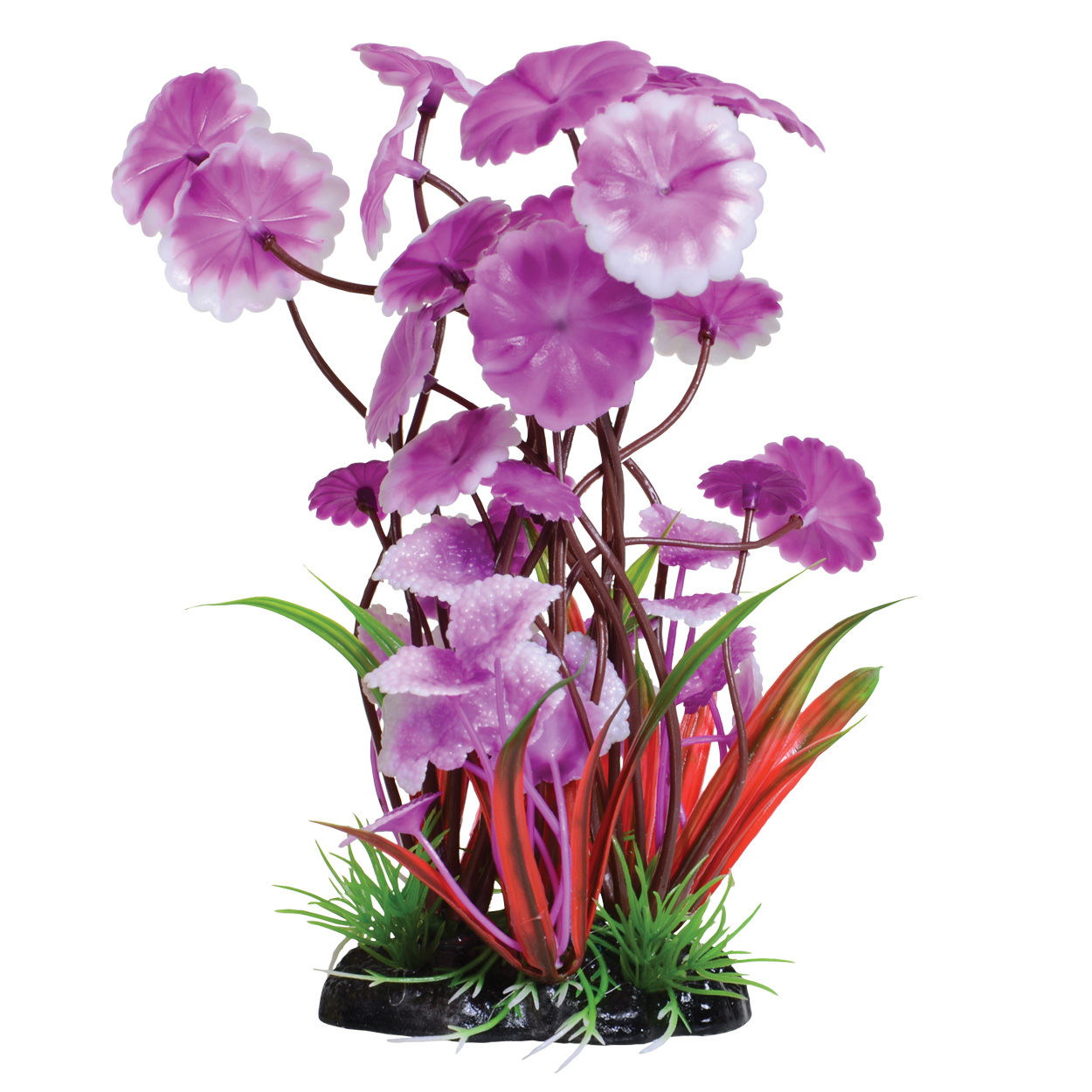 Underwater Treasures Fuscia Love Lily