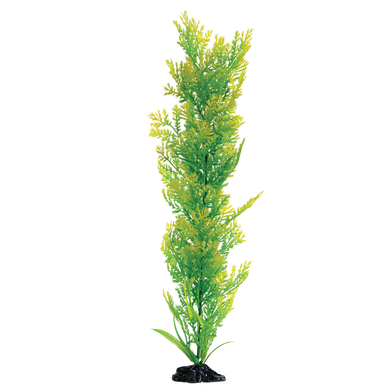 Underwater Treasures Water Violet 20