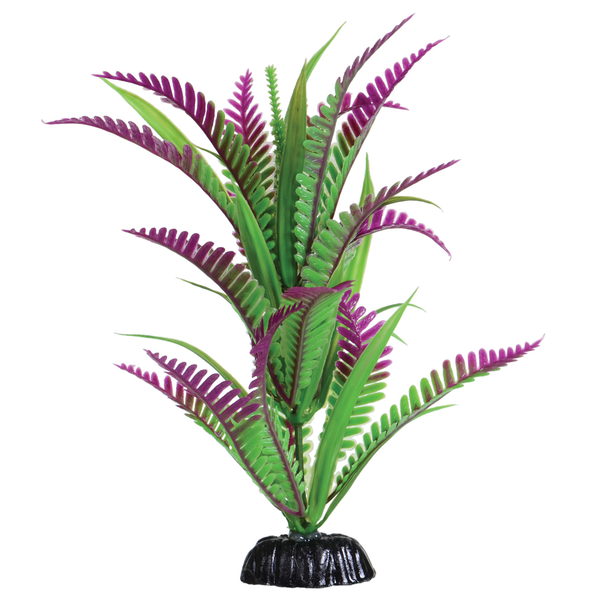 Underwater Treasures Lonely Heart Fern