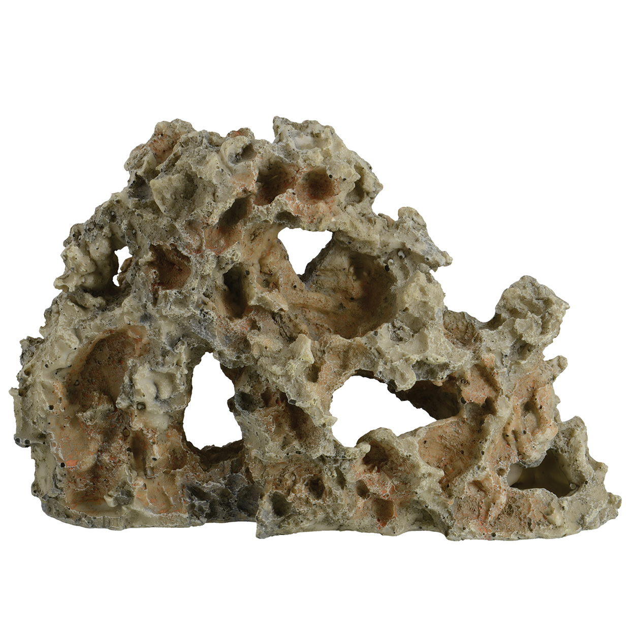 Underwater Treasures Pitted Rock Wall