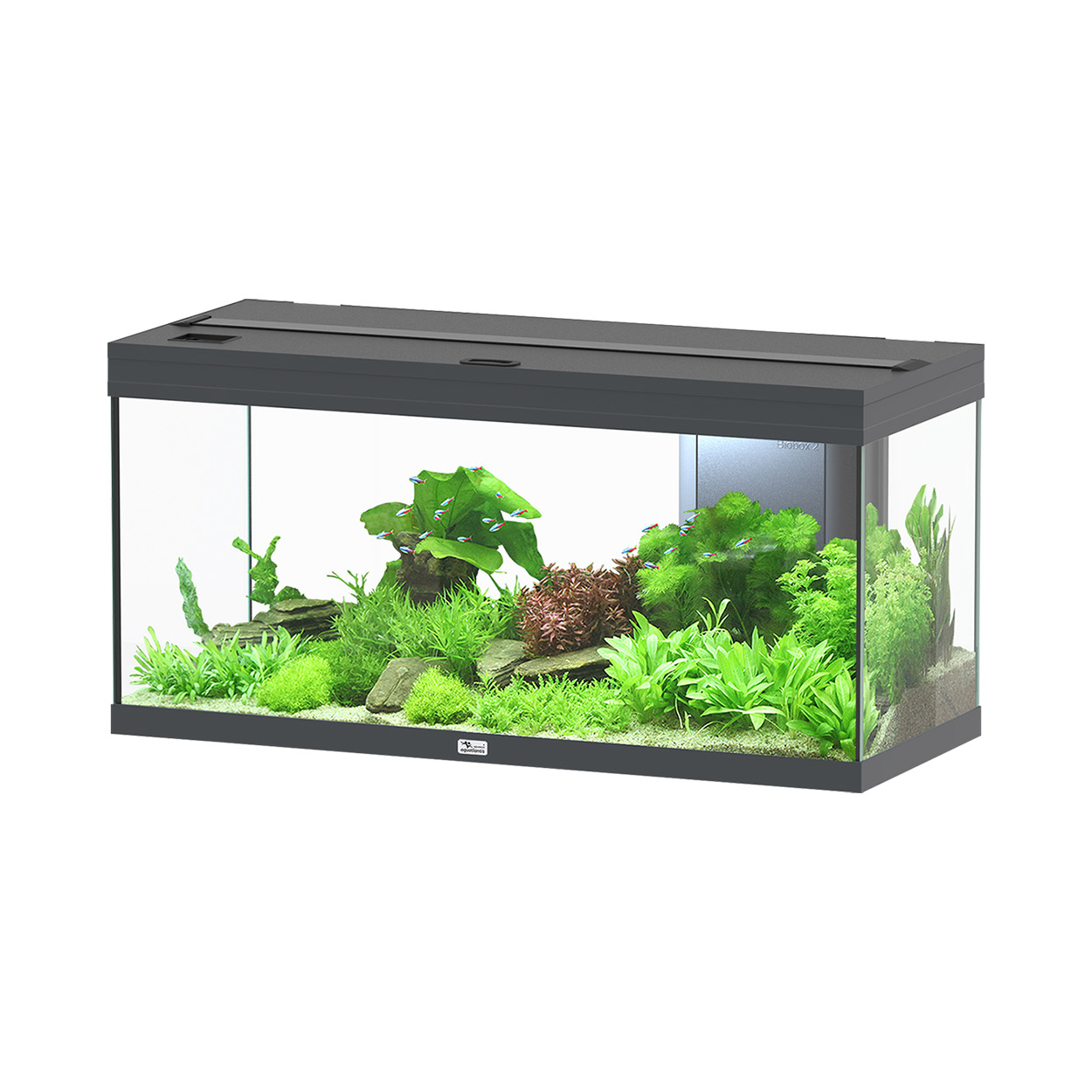 Aquatlantis Volga 180 Aquarium 47.5GAL - Vesuve Grey