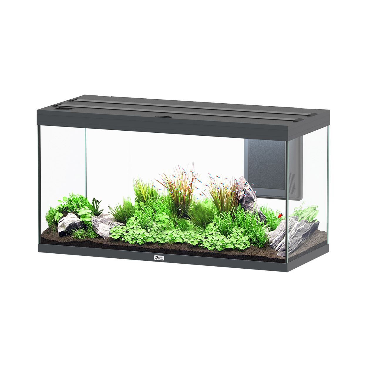 Aquatlantis Volga 350 Aquarium 92GAL - Vesuve Grey
