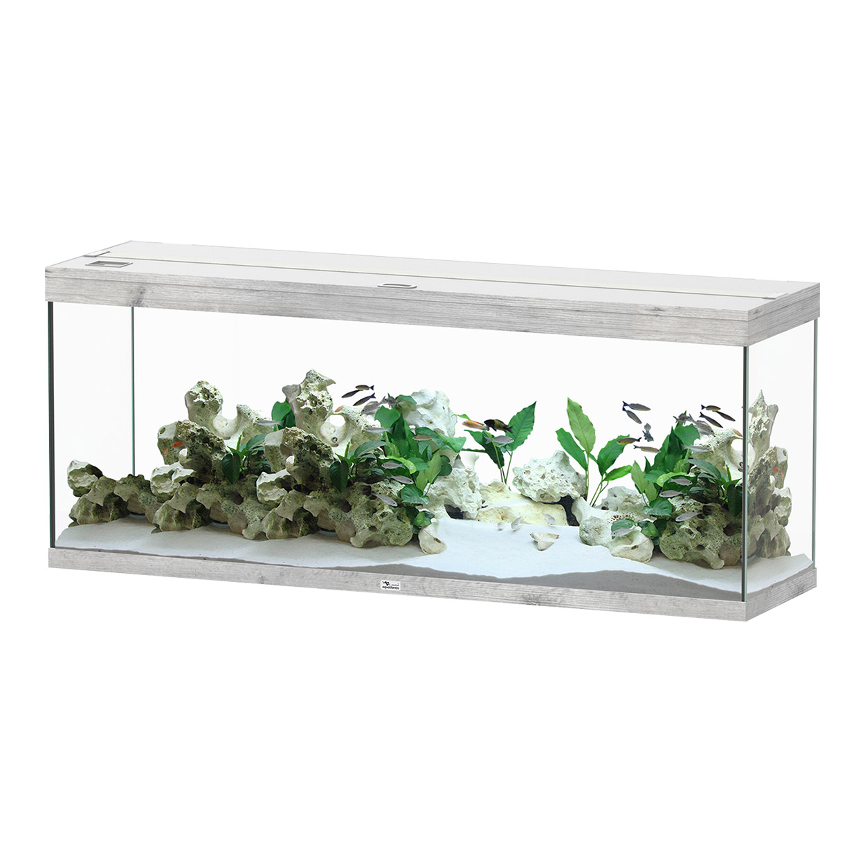Aquatlantis Splendid 150 Aquarium Grey - 59x16x24h