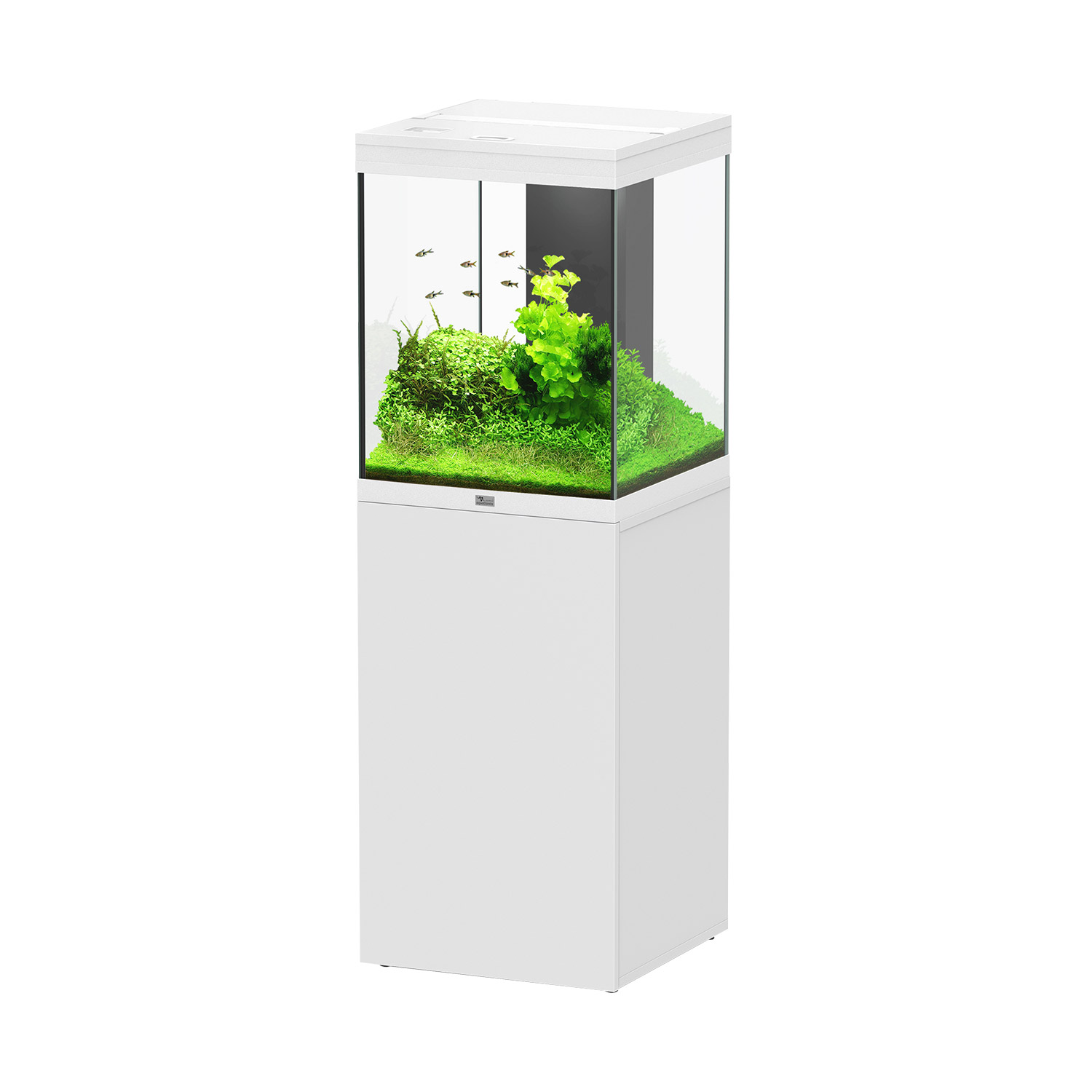 Aquatlantis Tower 163 20x20x60 Blanc