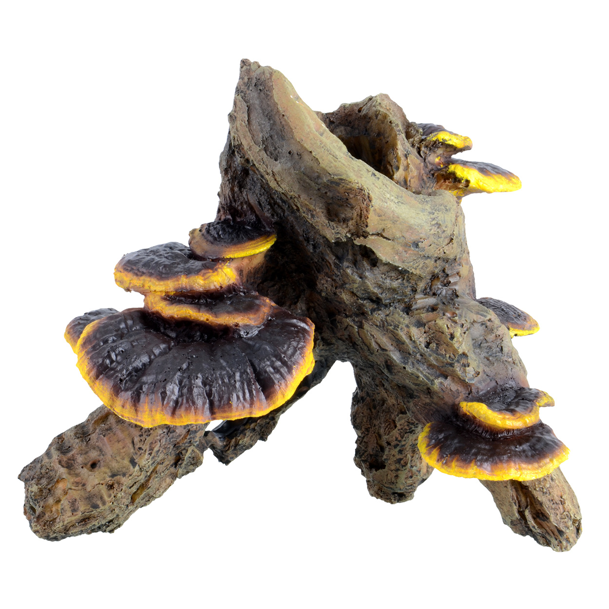 Underwater Treasures Root with Mushroom