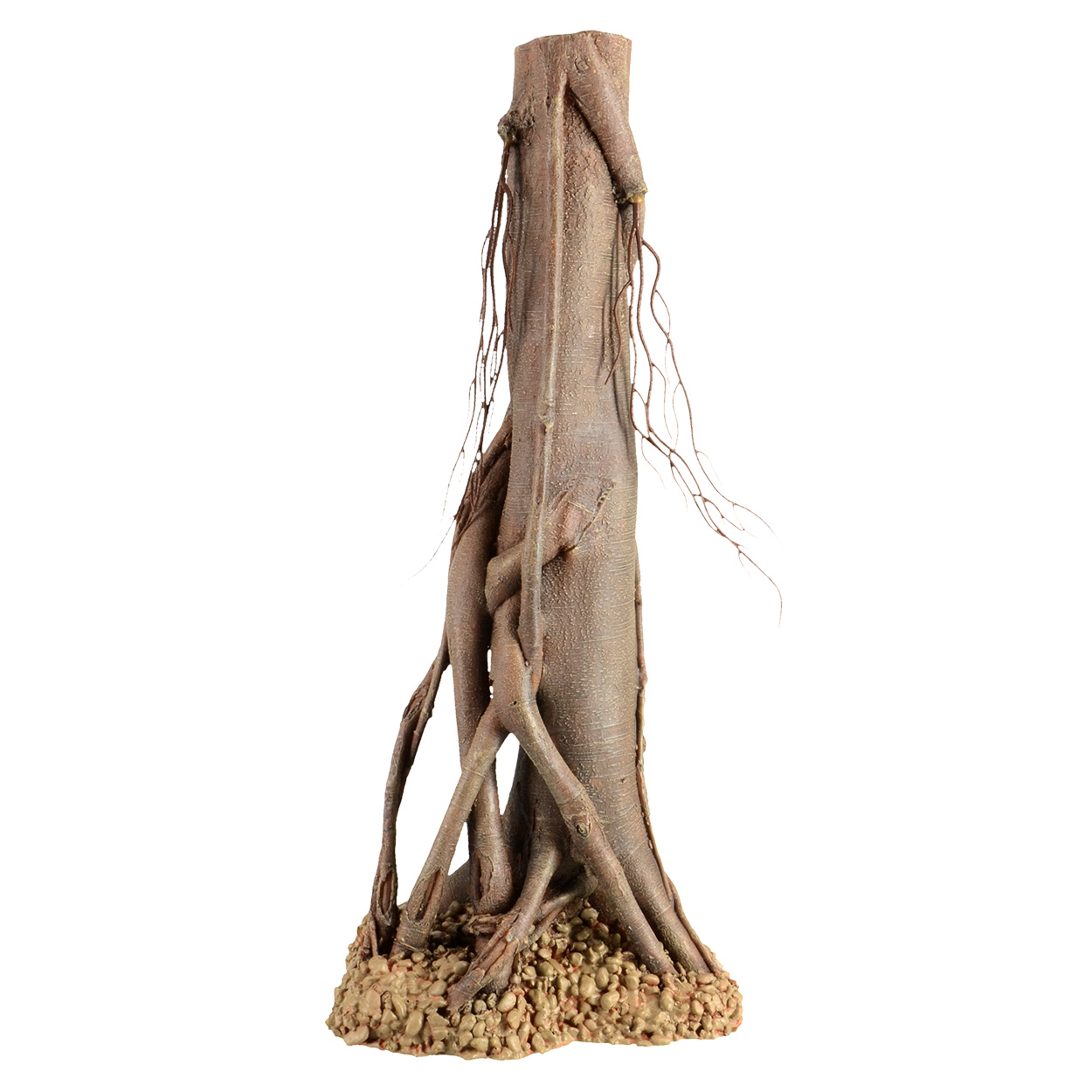 Underwater Treasures Mangrove Root