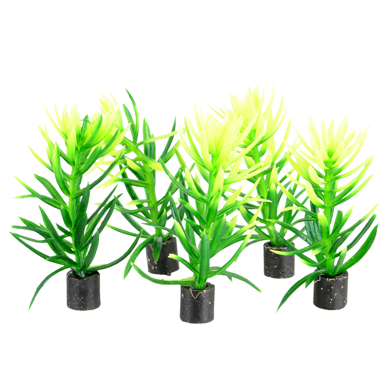 Underwater Treasures Mini Plant - Green Bush