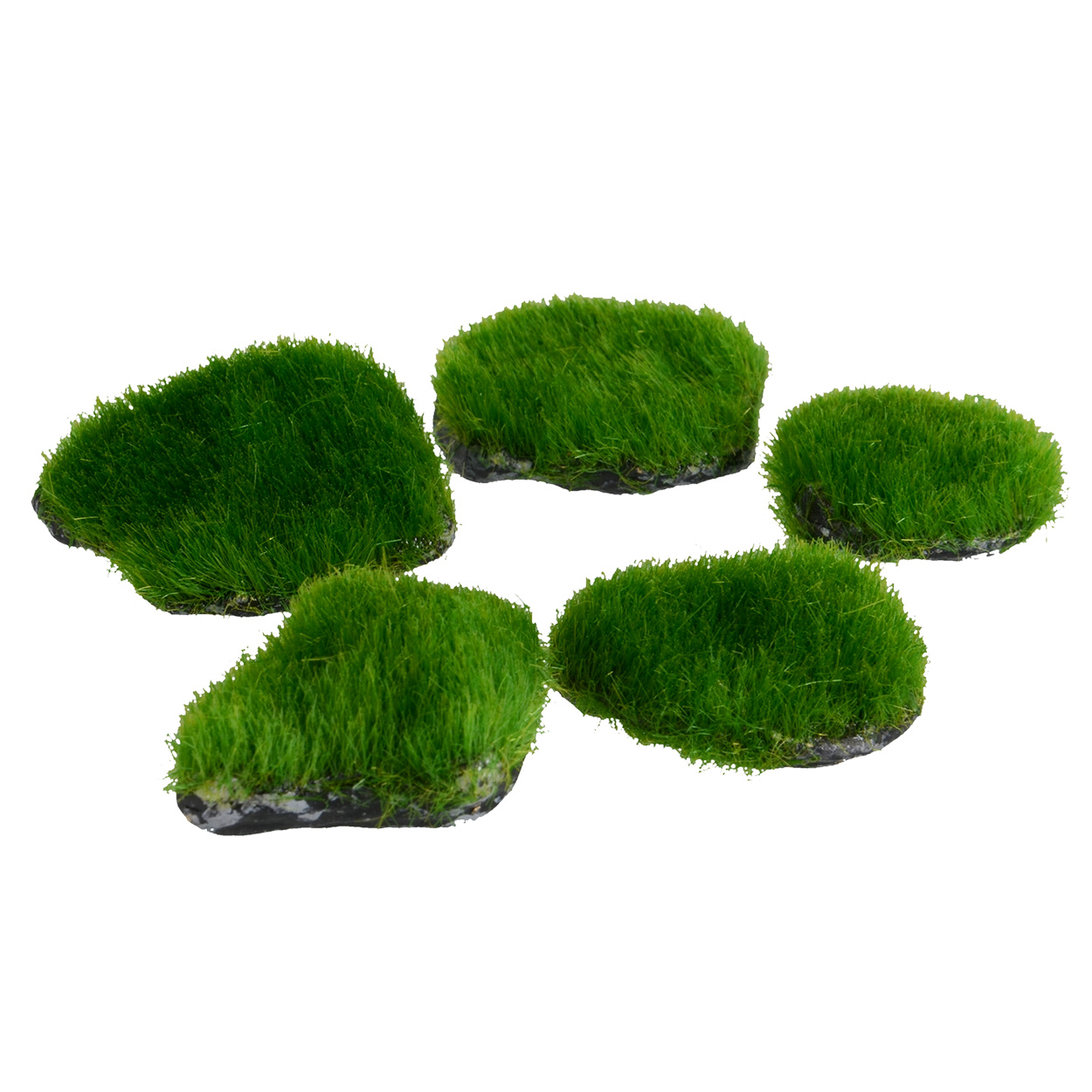 Underwater Treasures Mini Moss Rock