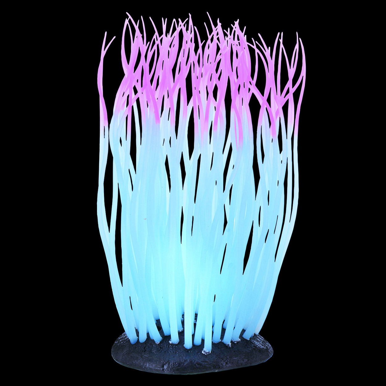 Underwater Treasures Glowing Anemone Pink