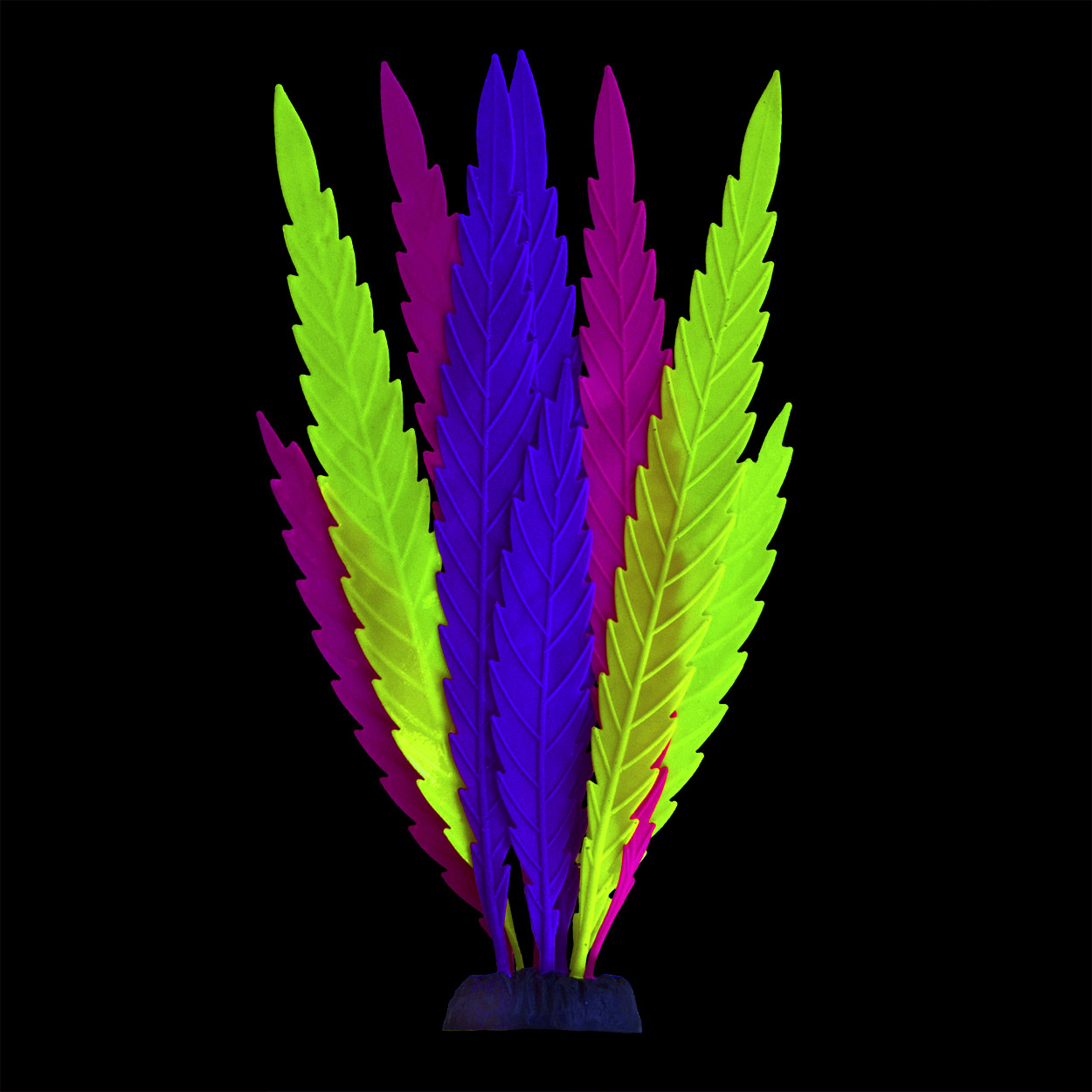 Underwater Treasures Sea Plant Multi-Colored