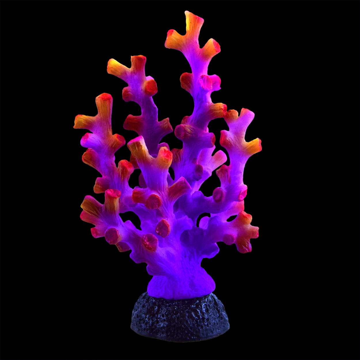 Underwater Treasures Octo Coral