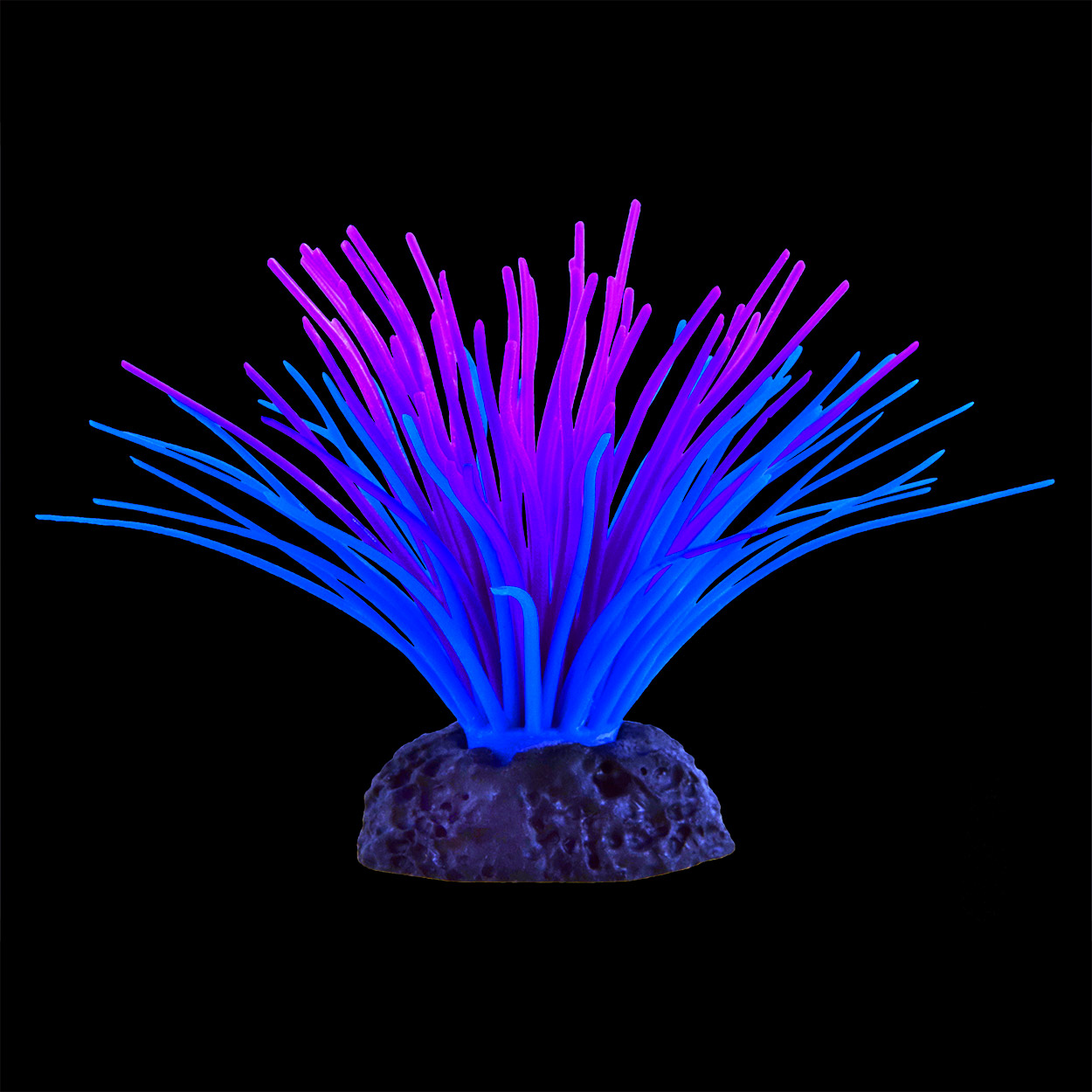 Underwater Treasures Sea Anemone Purple/Blue