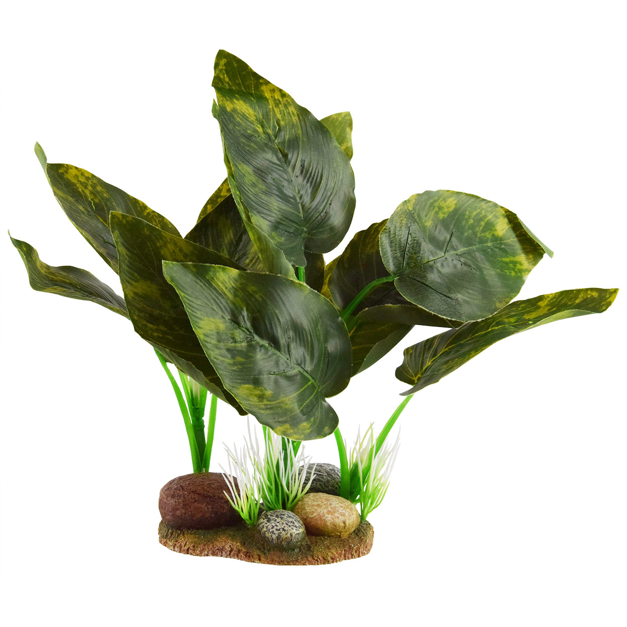 Underwater Treasures Marble Pothos