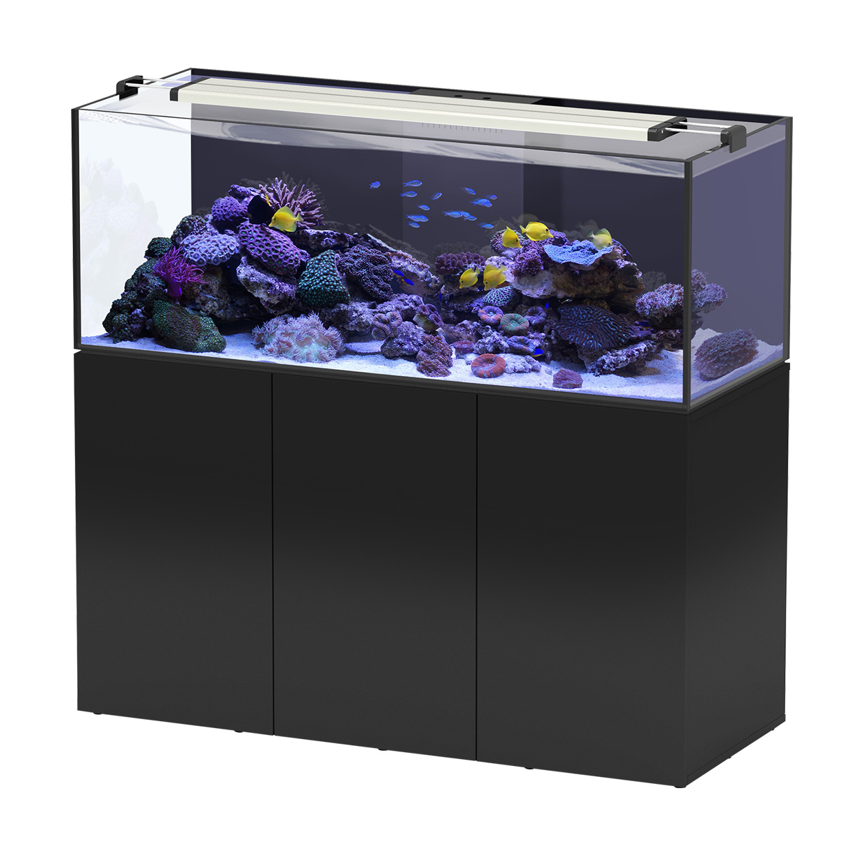 Aquatlantis AquaView 150 Black 109.5GAL