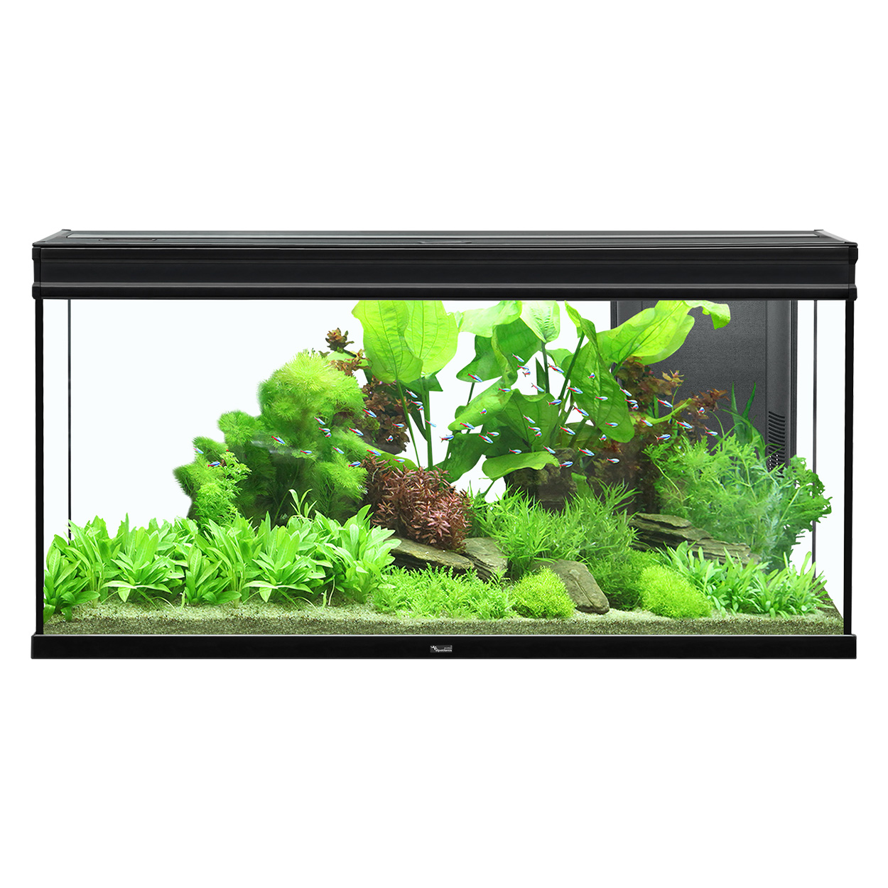 Aquatlantis Elegance Expert 120 Aquarium 61GAL Black