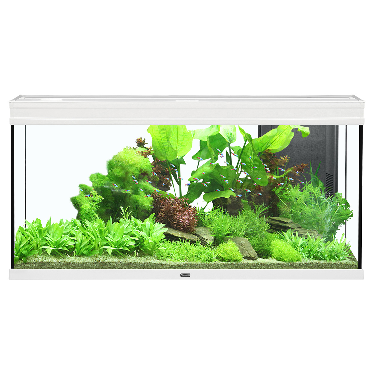 Aquatlantis Elegance Expert 120 Aquarium 61GAL White
