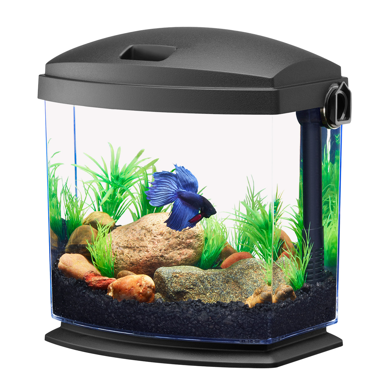 Aqueon BettaBow Aquarium Kit 1GAL