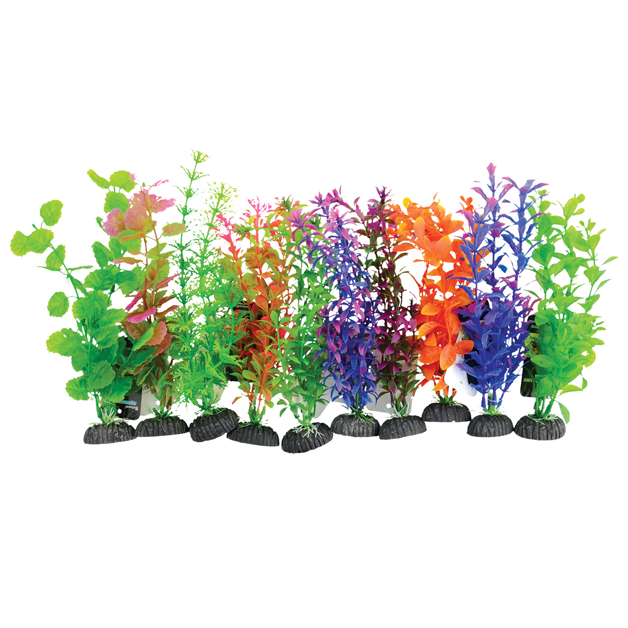 Underwater Treasures Plant on Rock Mixed Medium - 10
