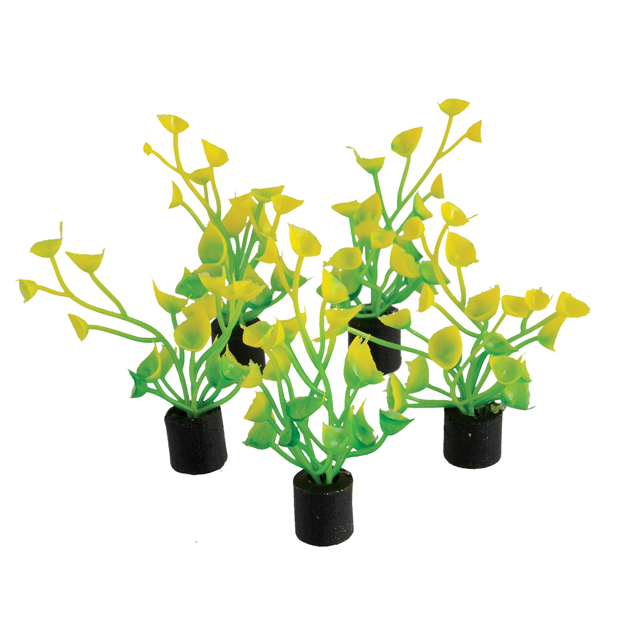 Underwater Treasures Mini Plant Yellow and Green