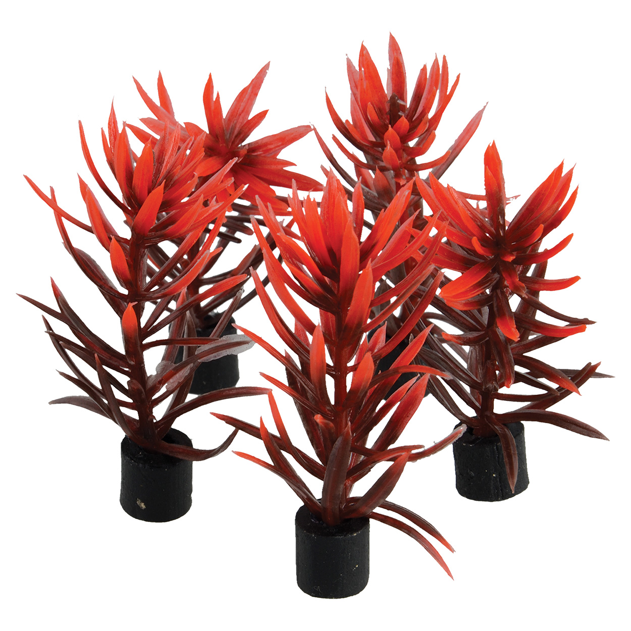 Underwater Treasures Mini Plant - Red and Brown