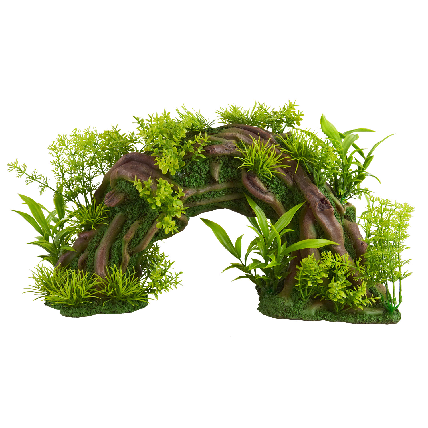 Underwater Treasures Plant Landscape Arch