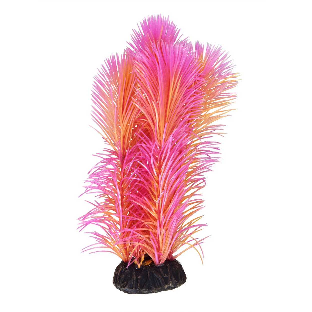 Underwater Treasures Ambulia Red - 8