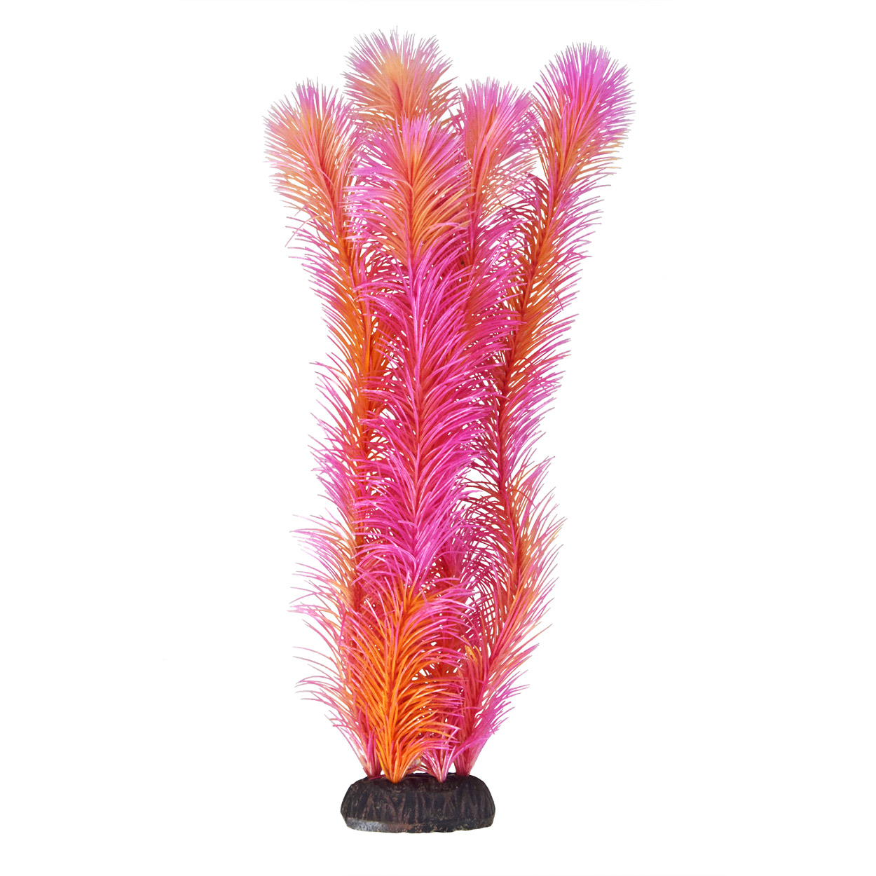 Underwater Treasures Ambulia Red - 16