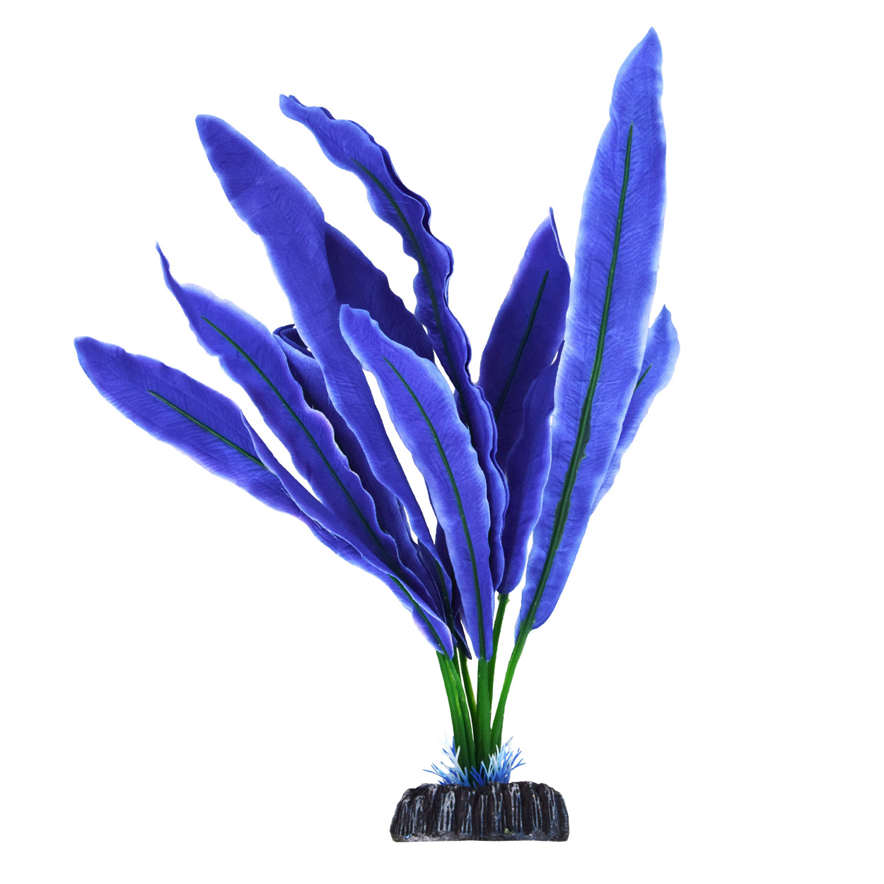 Underwater Treasures Crypt Undulata - Blue
