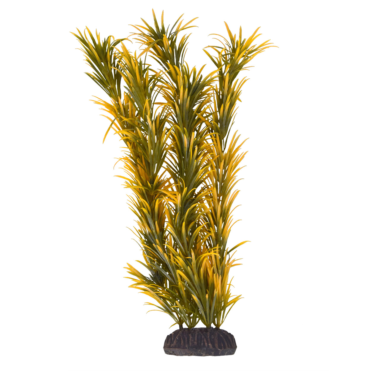 Underwater Treasures Mayaca Orange
