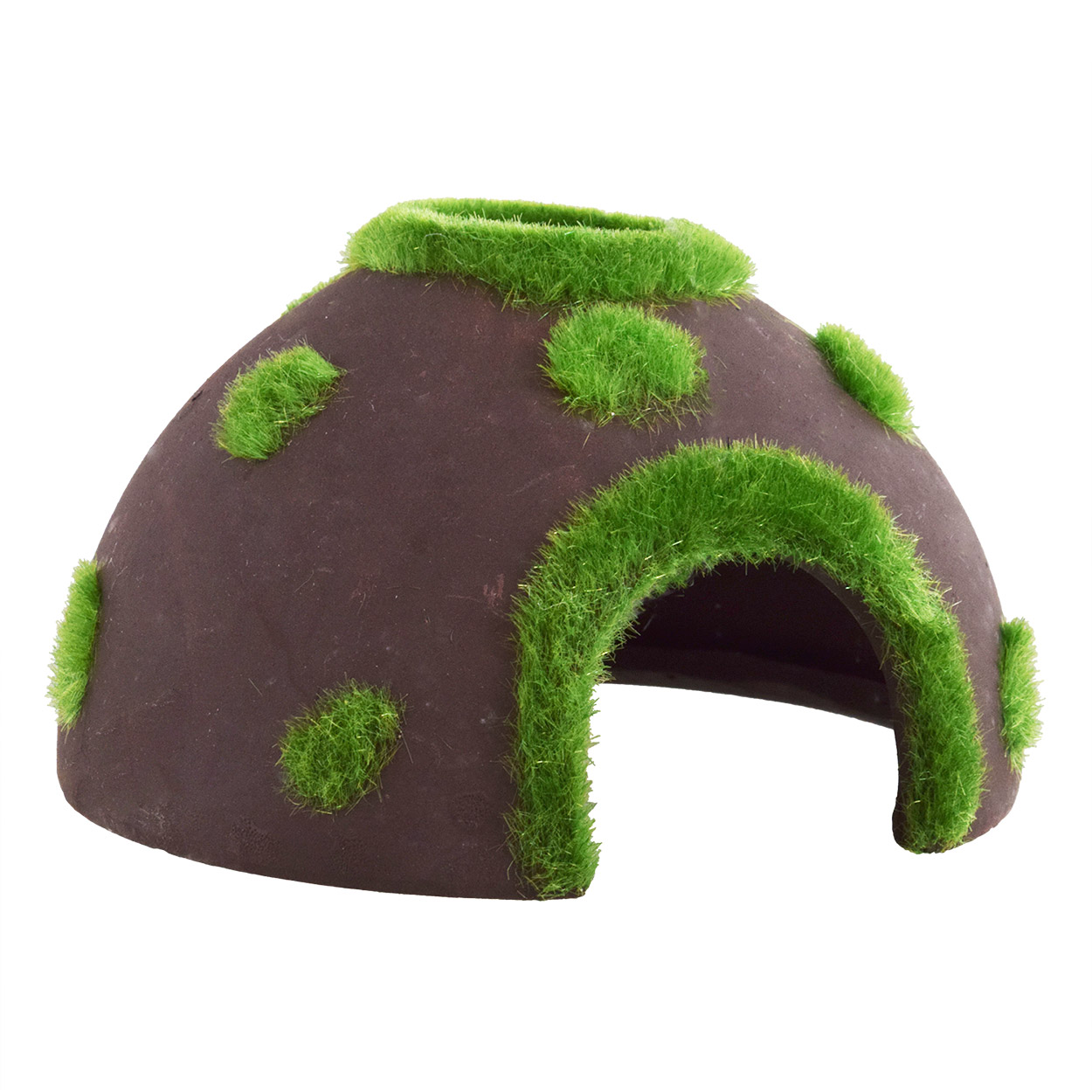 Underwater Treasures Ceramic Mossy Coconut 4