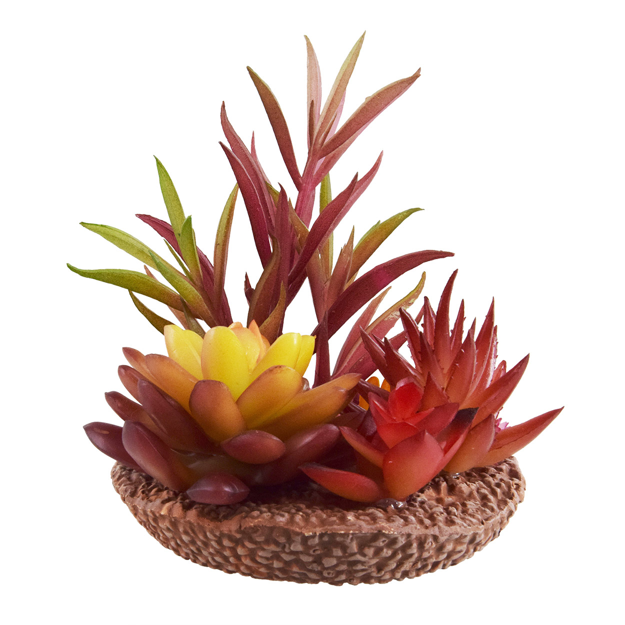 Underwater Treasures Succulant - Flames