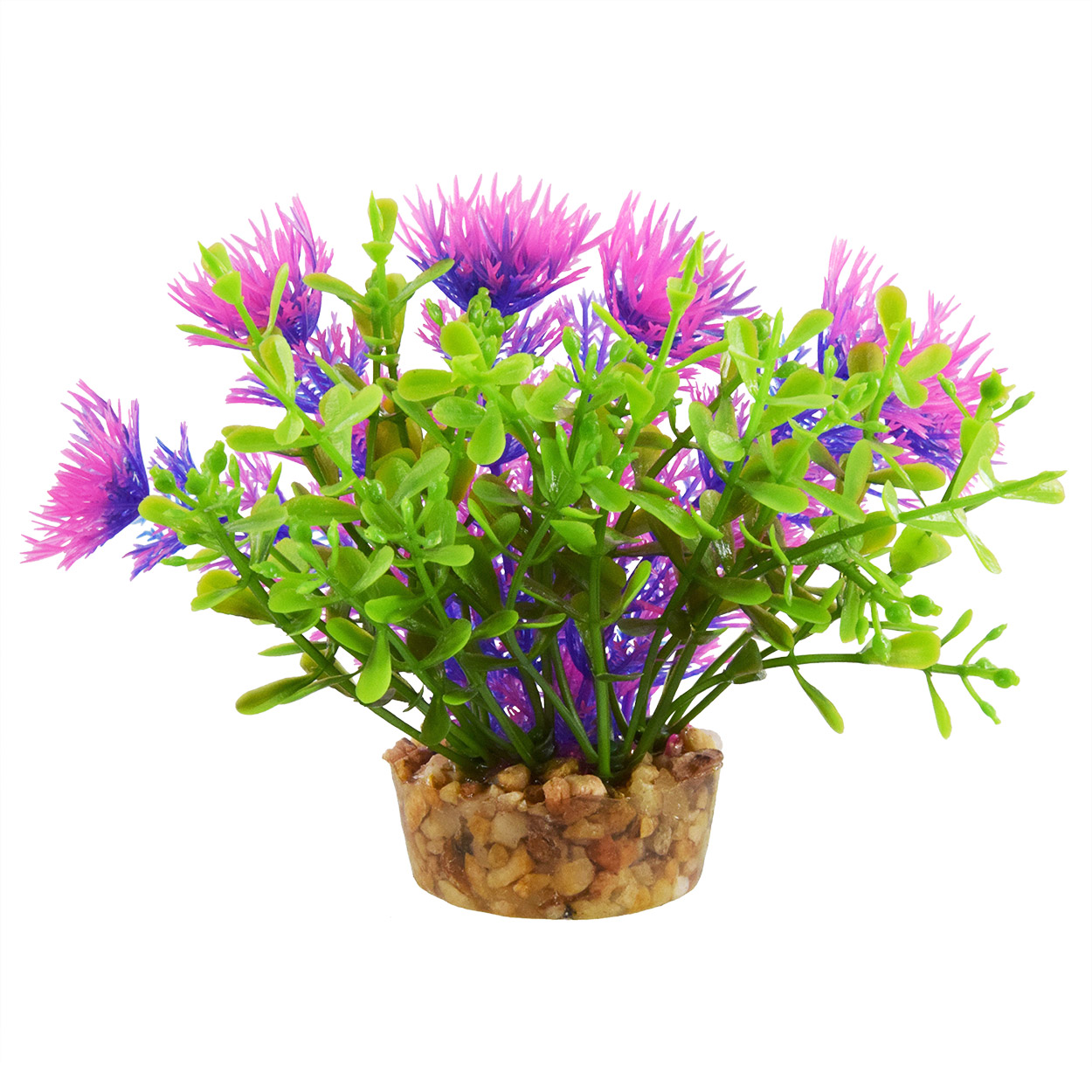 Underwater Treasures Bacomba - Purple 4
