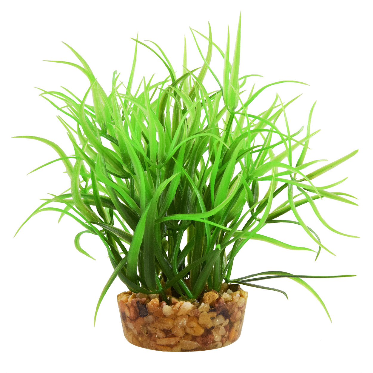 Underwater Treasures Star Grass 4