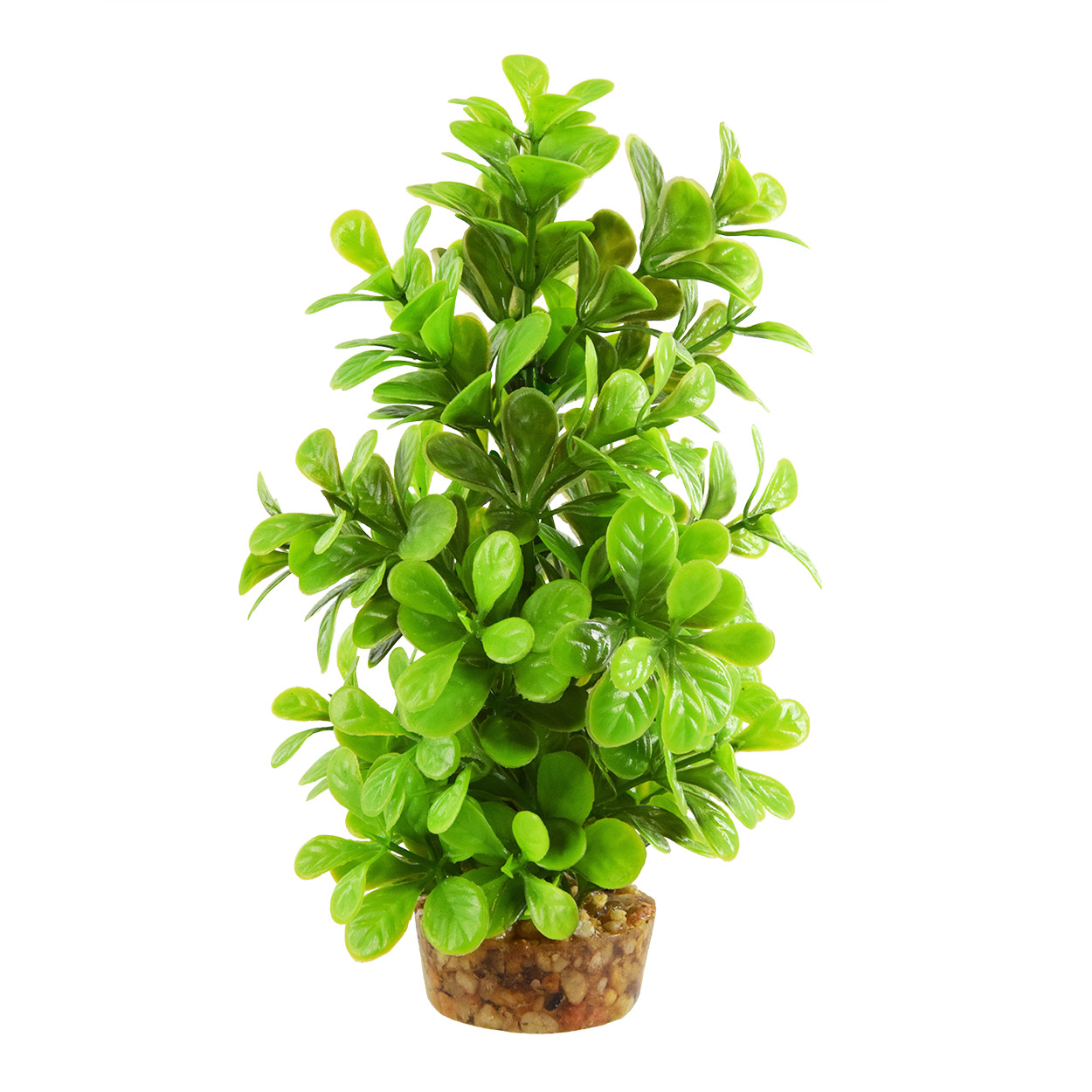 Underwater Treasures Moneywort Tree