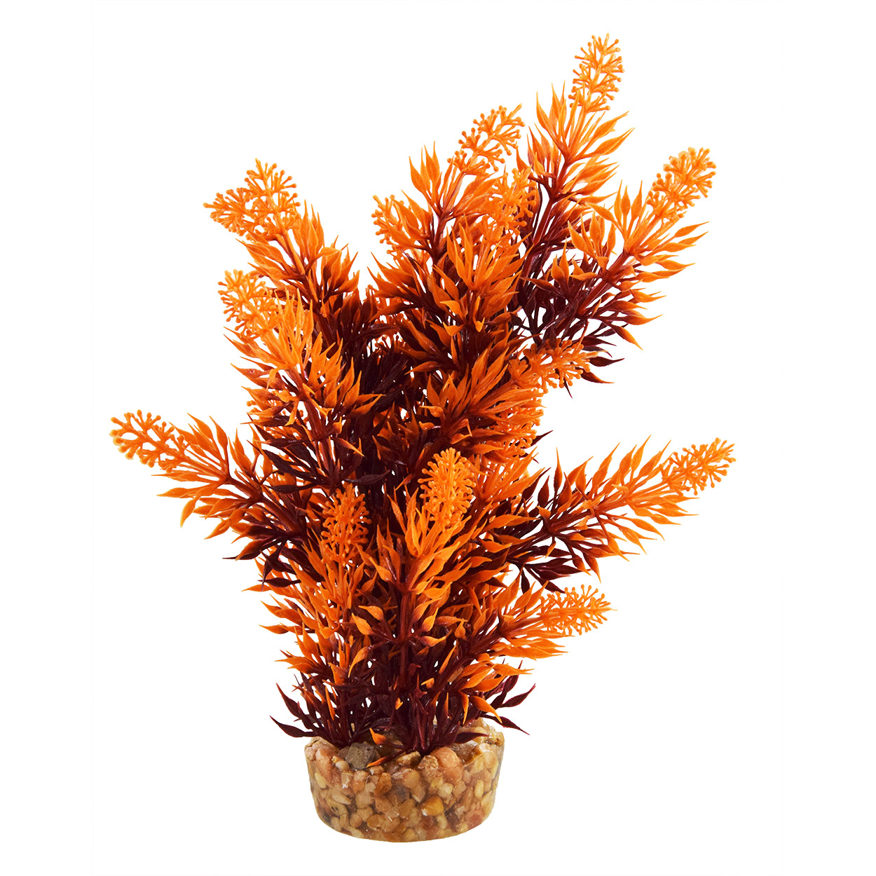 Underwater Treasures Hygro Tree Sunset - 8