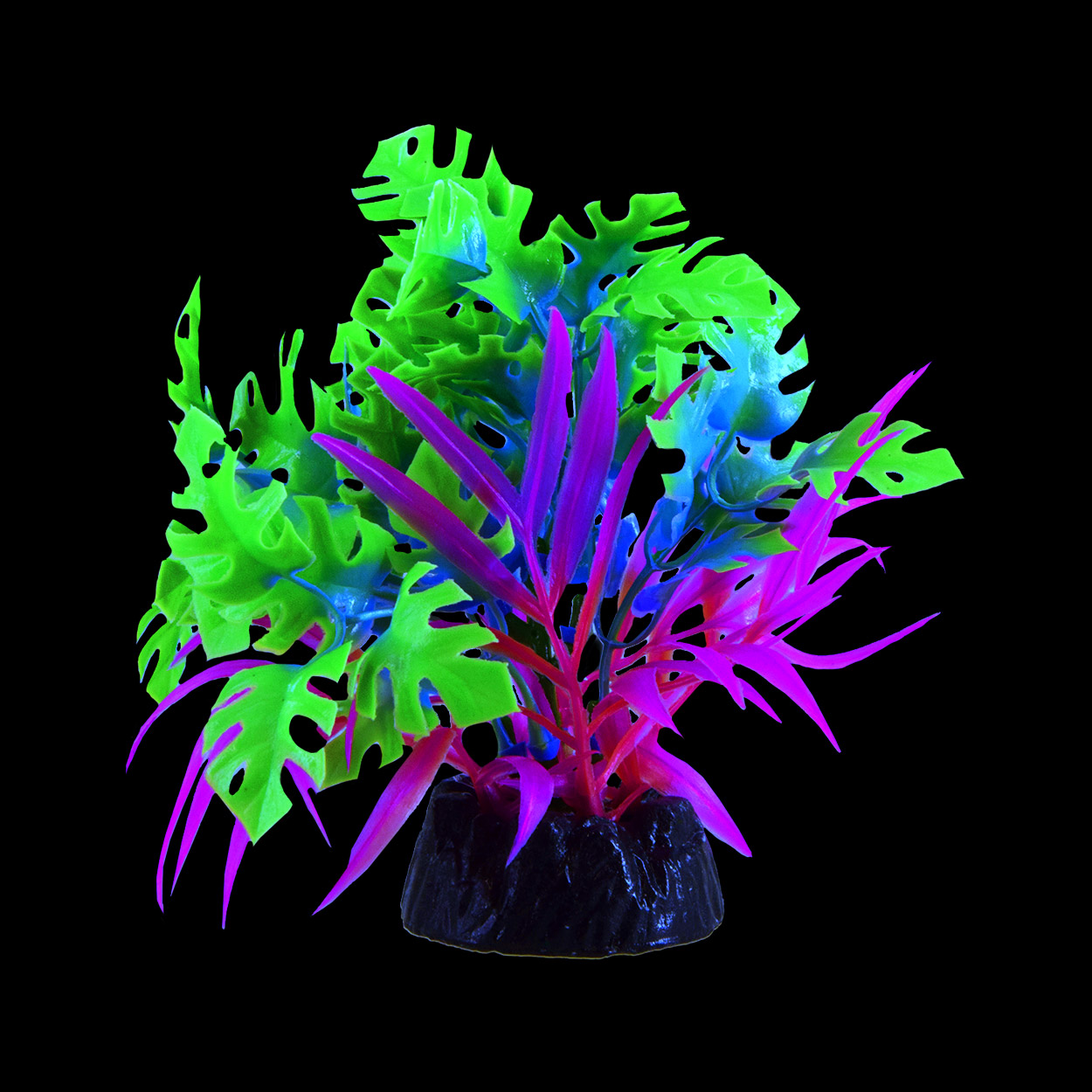 Underwater Treasures Glo Anubias Blue - Small