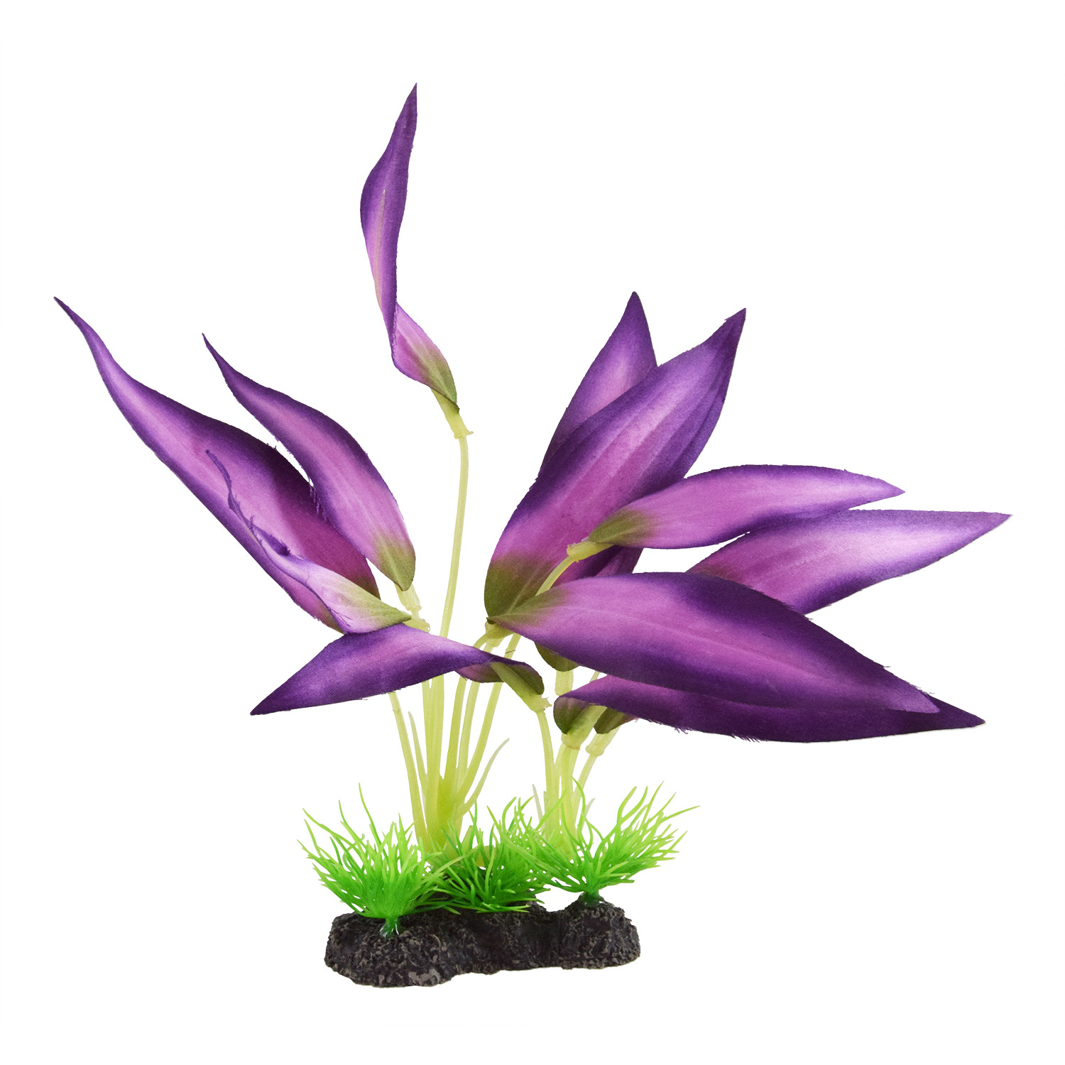 Underwater Treasures Plant Queen Purple