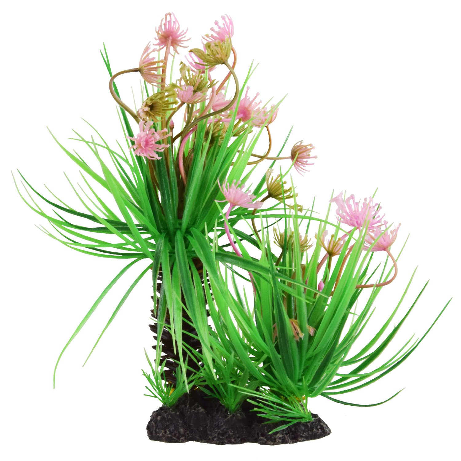 Underwater Treasures Plant Palm - Flowering