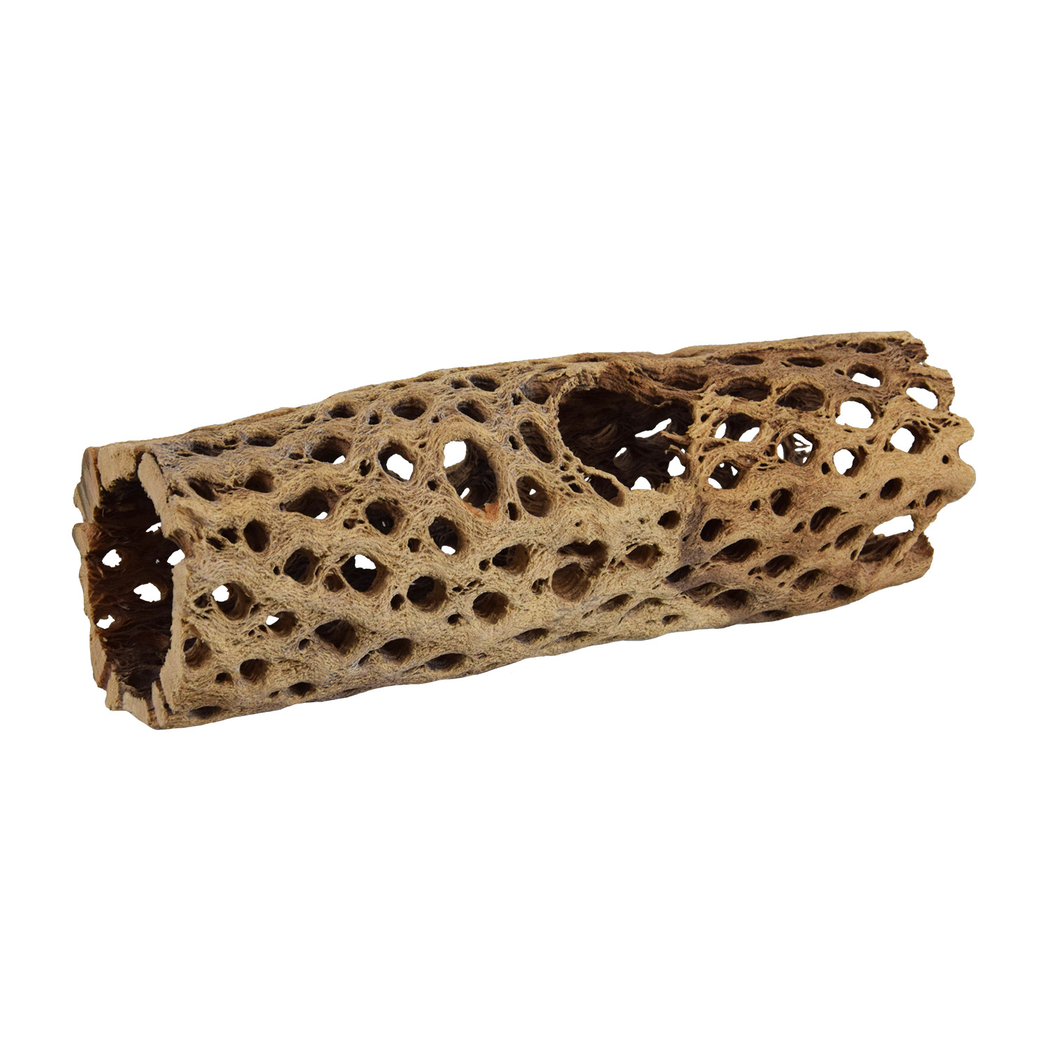 Underwater Treasures Medium Chain Fruit Medium - 6
