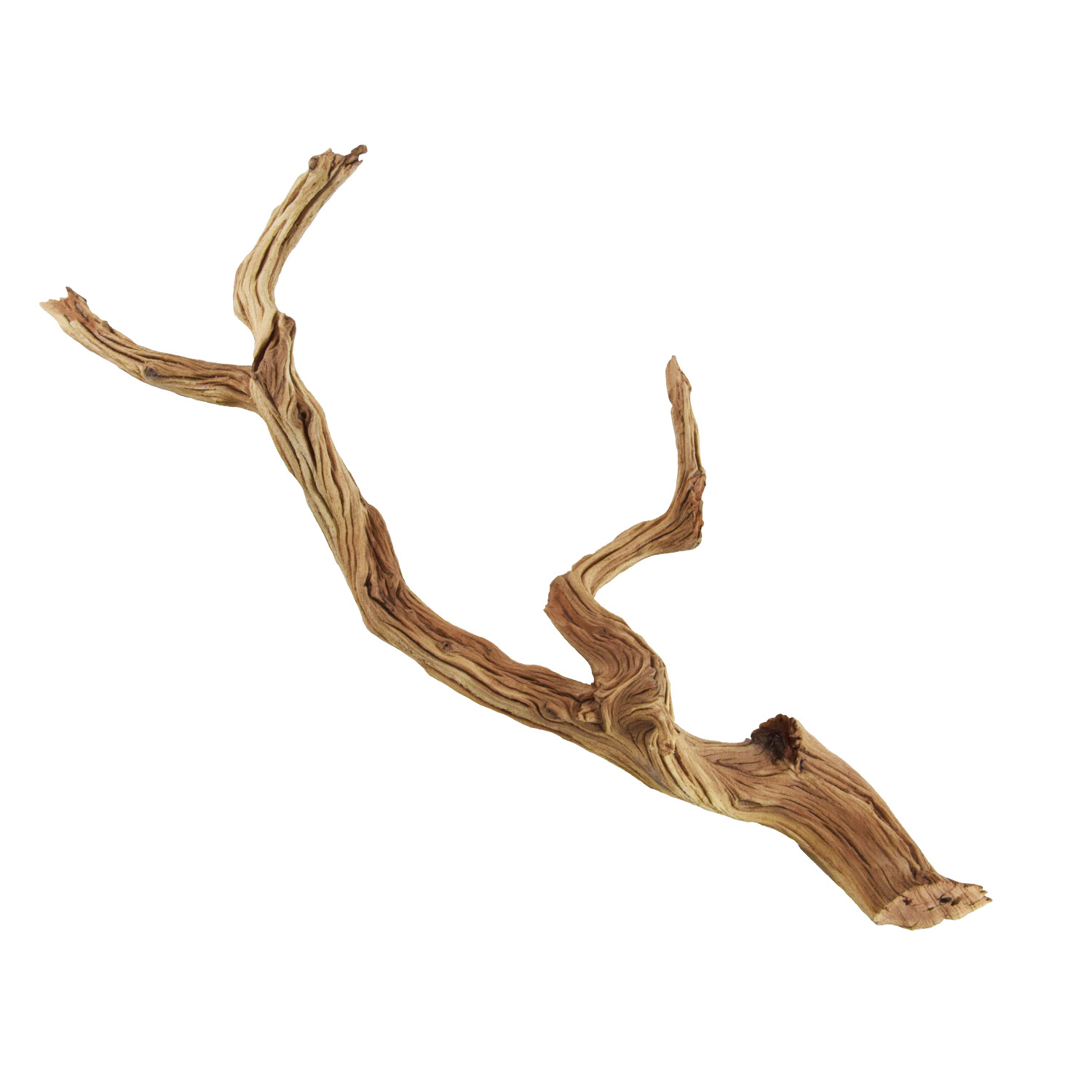 Underwater Treasures Ghostwood Medium 14-16
