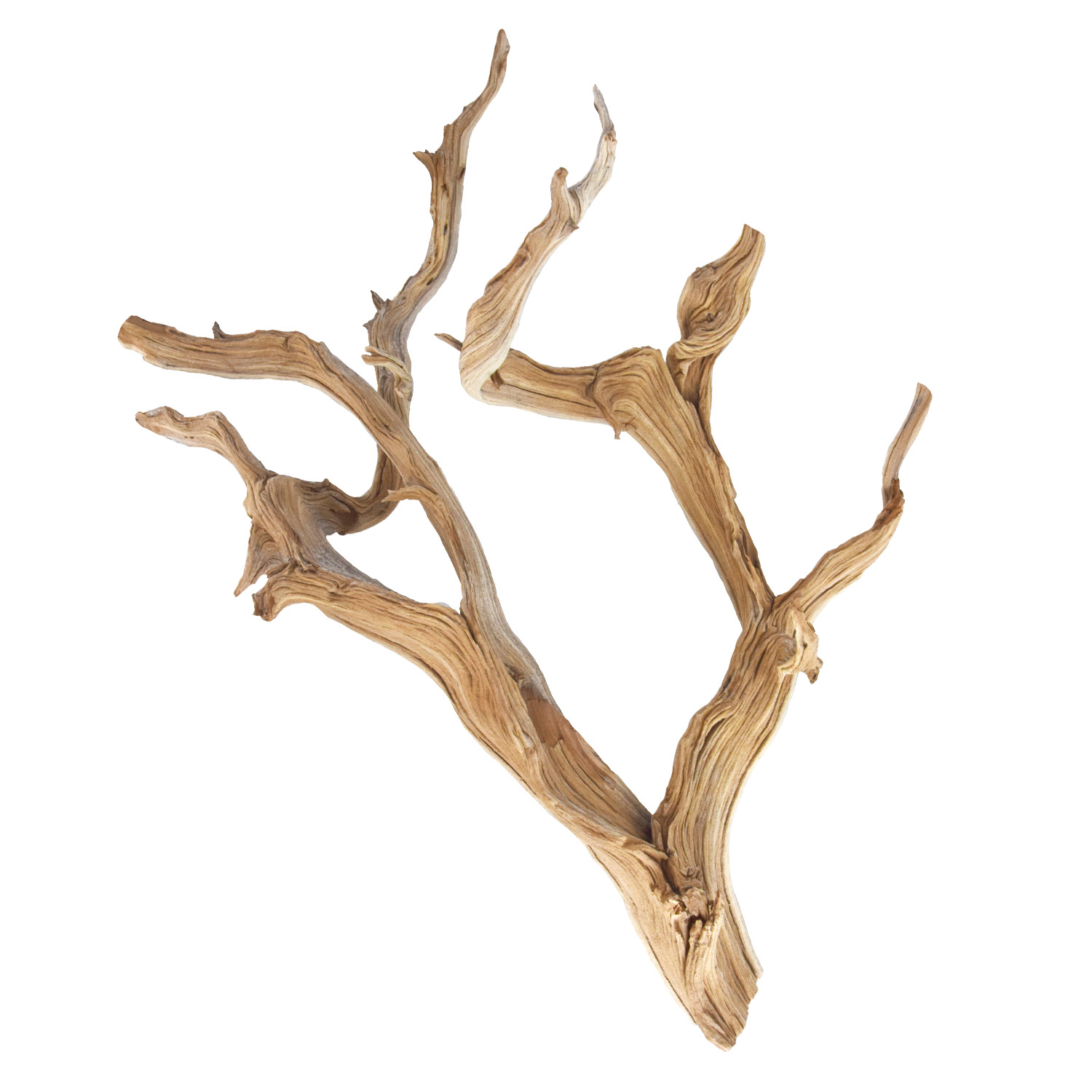 Underwater Treasures Ghostwood Large 18-24