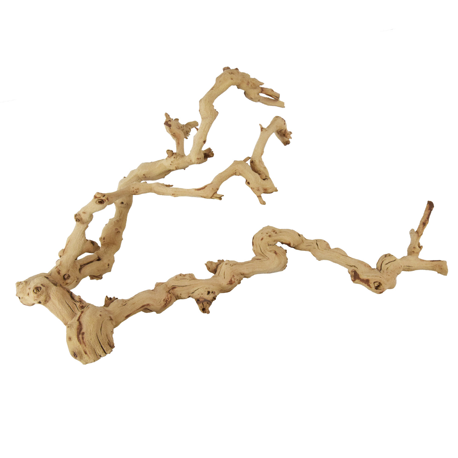 UT Grapewood Branche 18-24