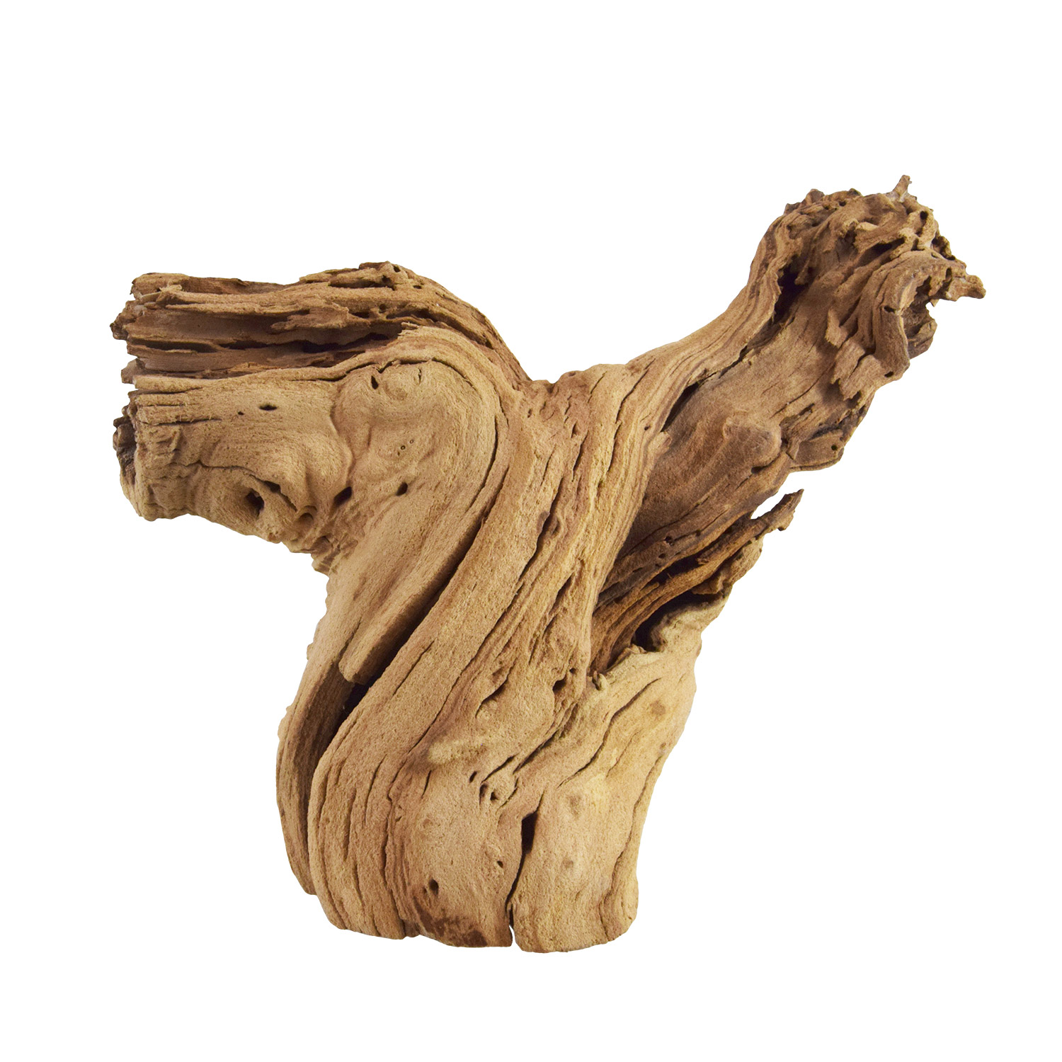 UT Grapewood Log 8-14
