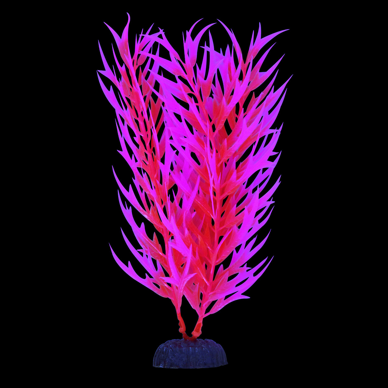 Underwater Treasures Glow Bamboo