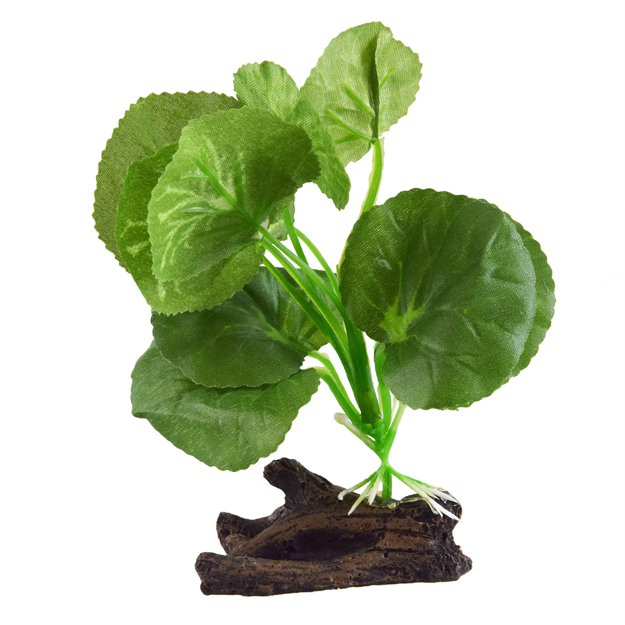 Underwater Treasures Silk Hydrocotyle