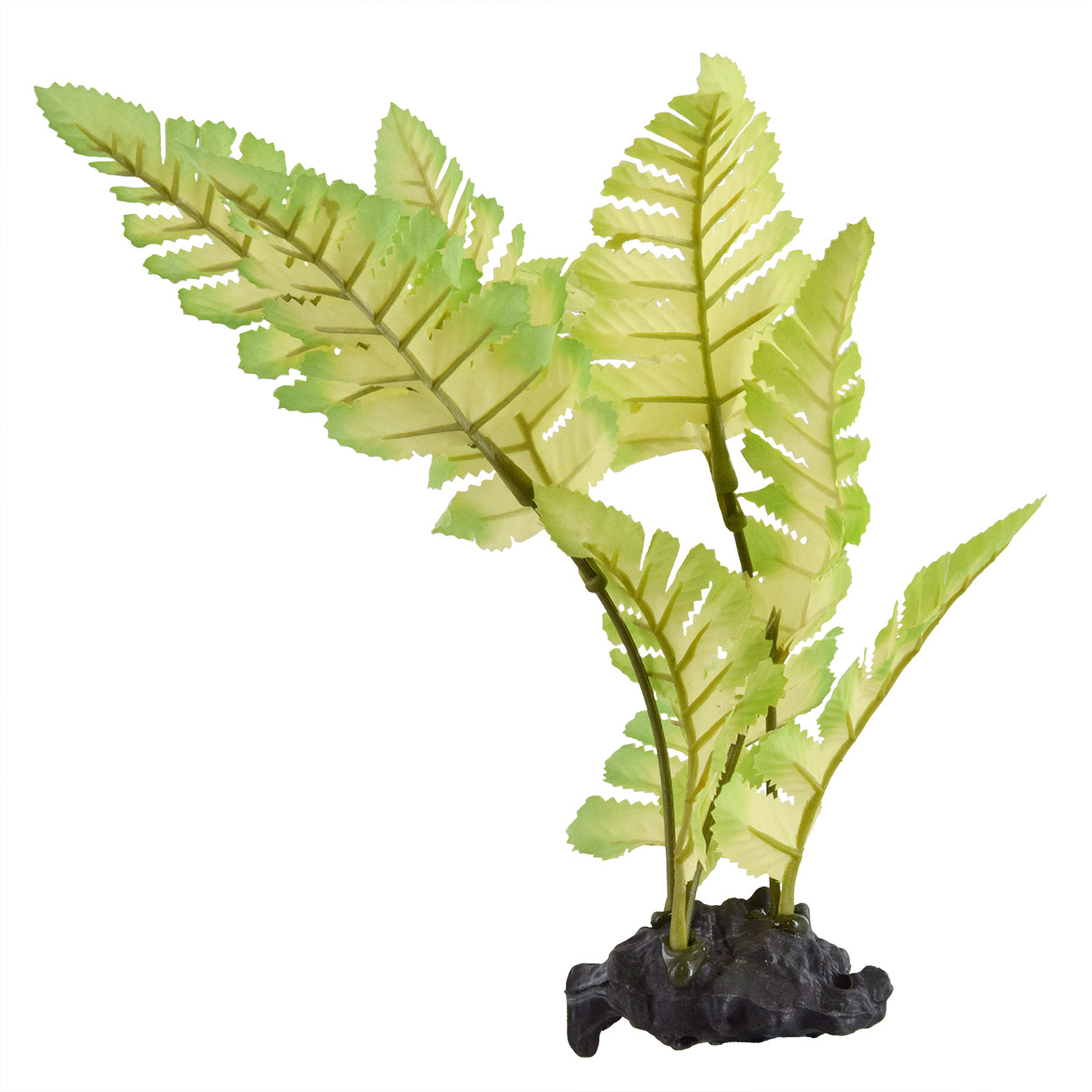 Underwater Treasures Painted Fern
