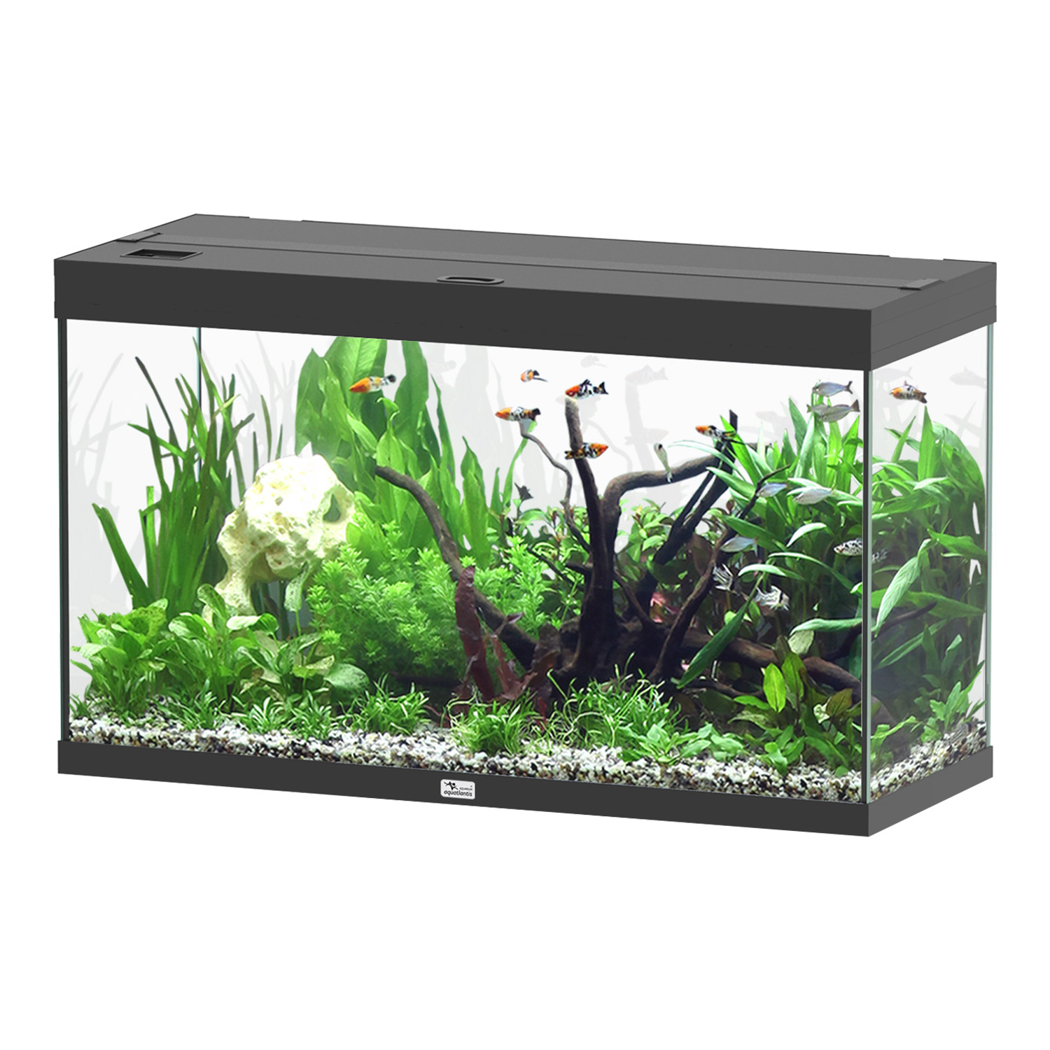 Aquatlantis Splendid Ultra 100 Tank 53GAL 40x16x24h - Black