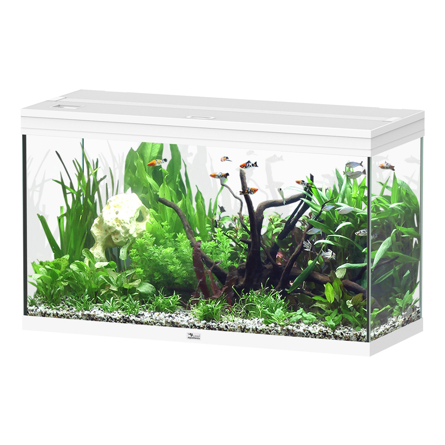 Aquatlantis Splendid Ultra 100 Tank 53GAL 40x16x24h - White